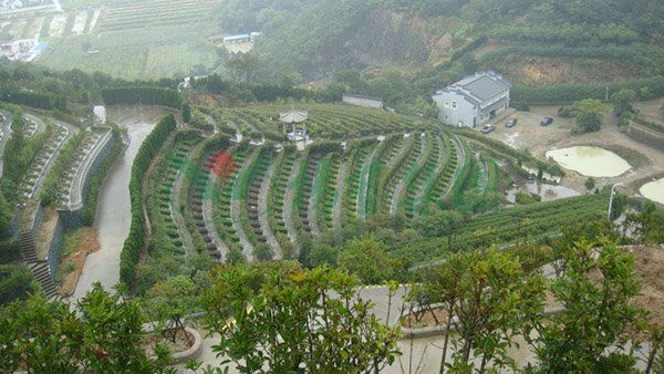 6008集团官方网站(中国)股份有限公司