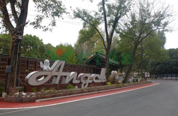 6008集团官方网站(中国)股份有限公司