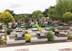 上；；；懔靶腔鹎