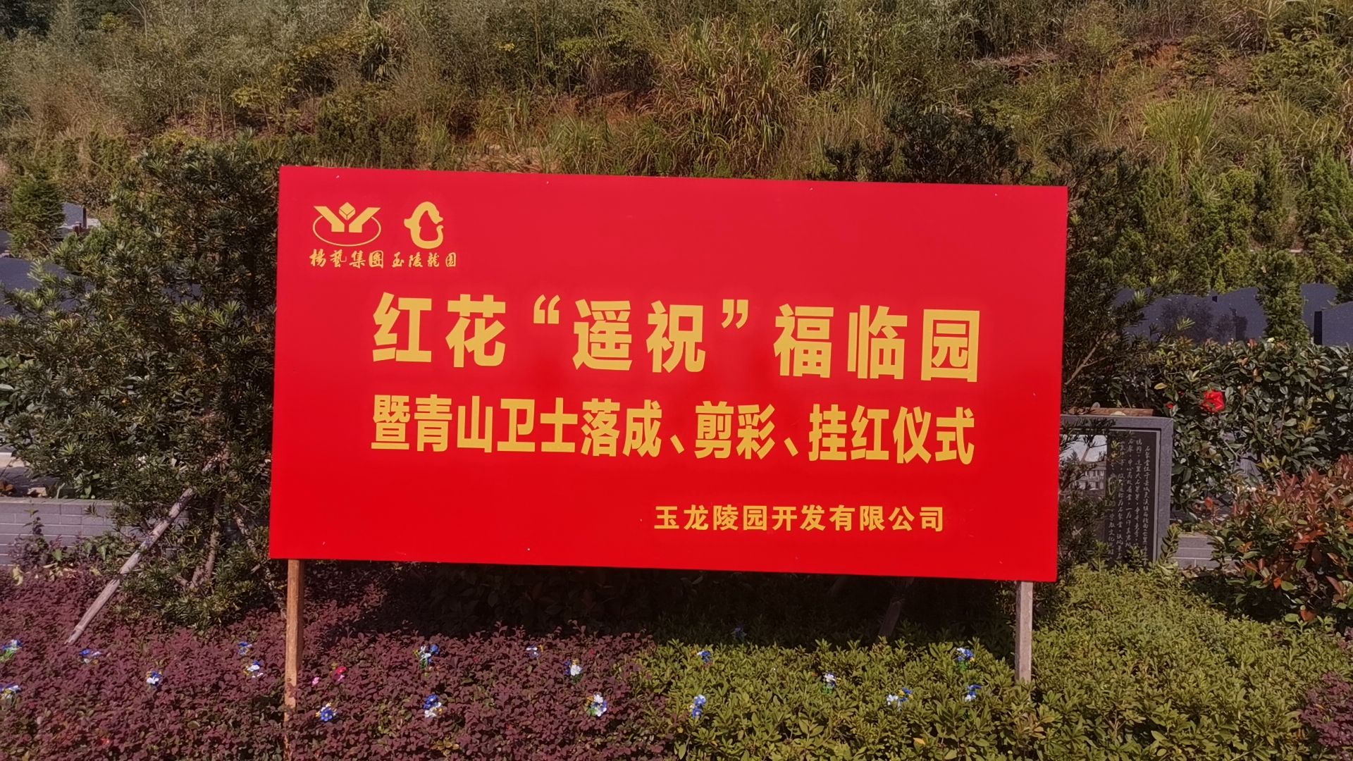 红花传爱意，，，情满玉龙园！！