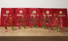 “6008集团官方网站杯”浙江省节地生态埋葬设计作品奖