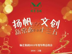 年终会：：记2015年终总结大会暨2016年妄想聚会