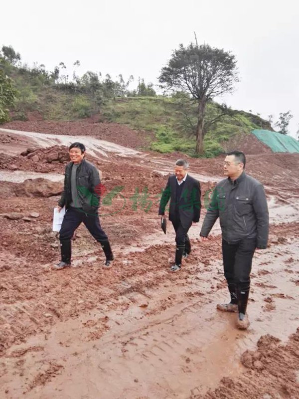 6008集团官方网站(中国)股份有限公司