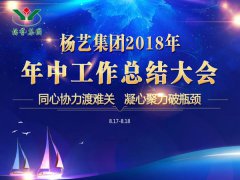 6008集团官方网站集团2018年中总结报告（摘要）