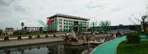 6008集团官方网站(中国)股份有限公司