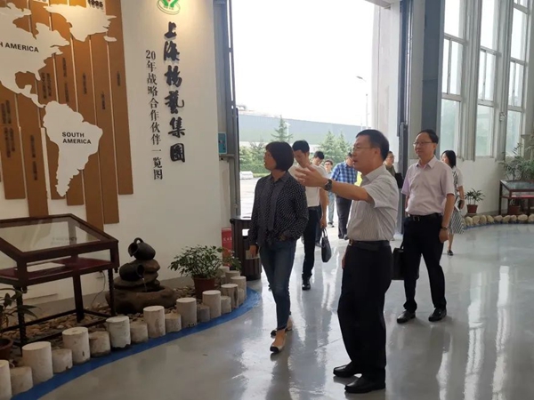 6008集团官方网站(中国)股份有限公司