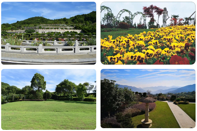 6008集团官方网站(中国)股份有限公司