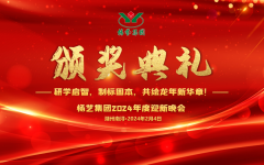 2024年6008集团官方网站集团迎新春年会暨颁奖仪式盛放肆行