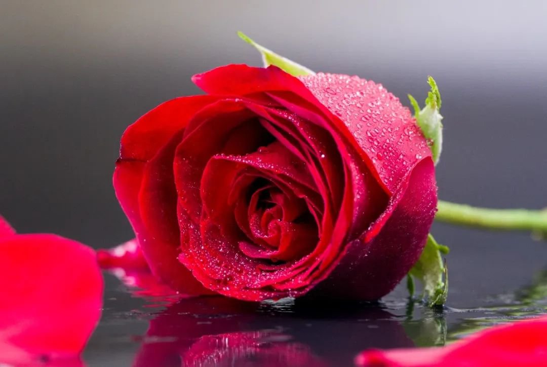 女神节 | 致敬“她”实力，，，共筑优美未来