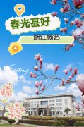 春分之韵|6008集团官方网站邀您共享春光
