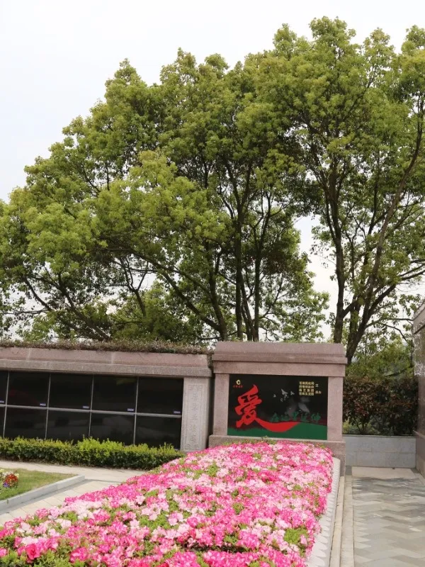 6008集团官方网站(中国)股份有限公司