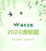 风起清明 遥寄相思|6008集团官方网站集团?2024清明篇