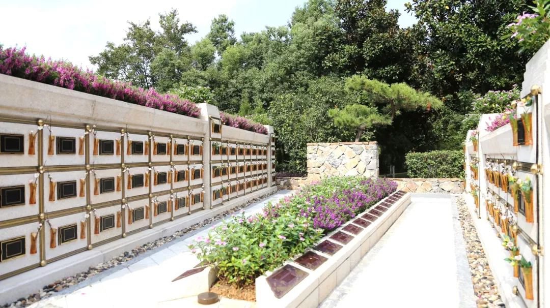 <b>在合肥大蜀山文化陵园，，，与生命温柔对话</b>