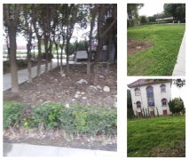 老墓园刷新：：：城市中的绿色影象与文化传承