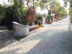 城市最后一平米：生态葬，是与自然的息争？？照旧无奈的选择？？