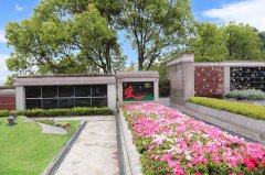 归于自然，泽被后世：解读现代生态葬及其立异趋势