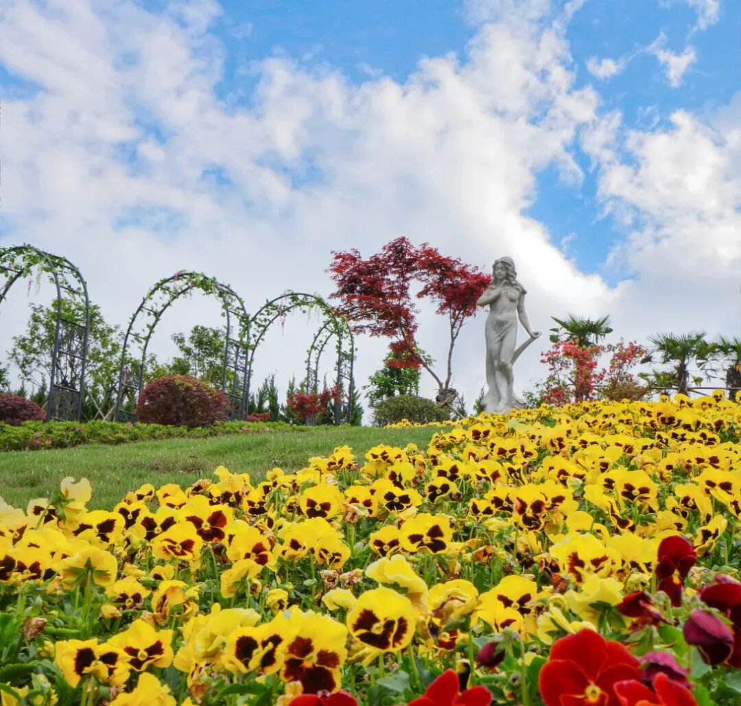 6008集团官方网站(中国)股份有限公司